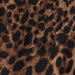 Colore: ANIMALIER