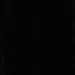 Colour: BLACK