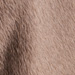 Colour: BROWN