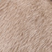Colour: CAMEL