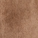 Colour: CAMEL